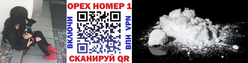 Кокаин FishScale  Купить закладки  Узловая 